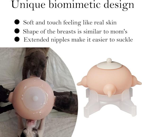 Shenzhen Dongdong Puppy Feeding Station Pink M Size 300ml-2