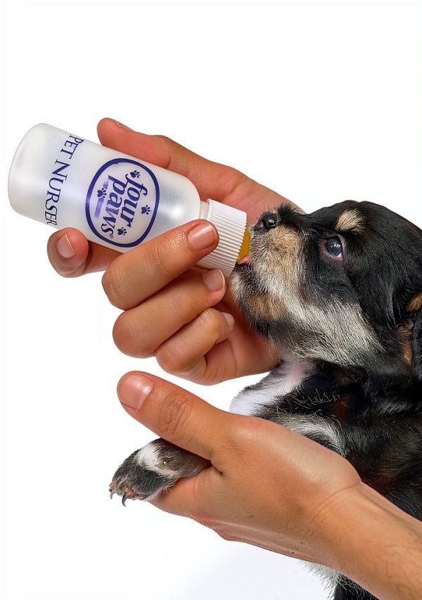 Central Garden Pet Nursing Bottle BPA Free 2 Ounce White-3