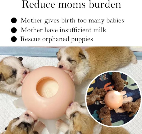 Shenzhen Dongdong Puppy Feeding Station Pink M Size 300ml-1