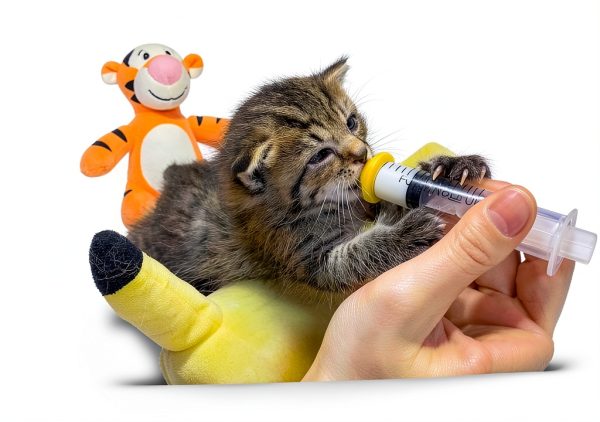 YeulYuuri Pet Nursing Kit Bottles Syringes Pacifiers Feeding-1