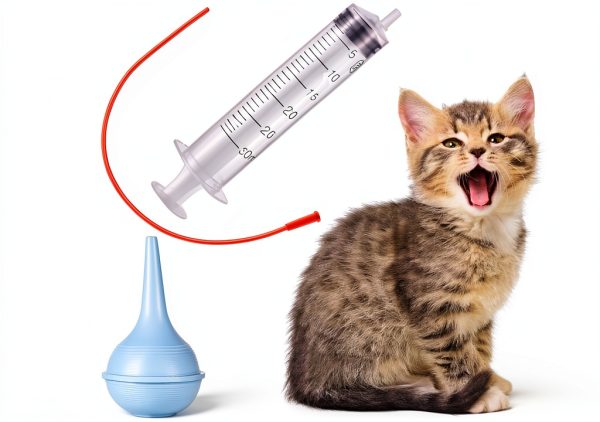 Puppy Feeding Tube Kit Treela Soft Rubber Design-4