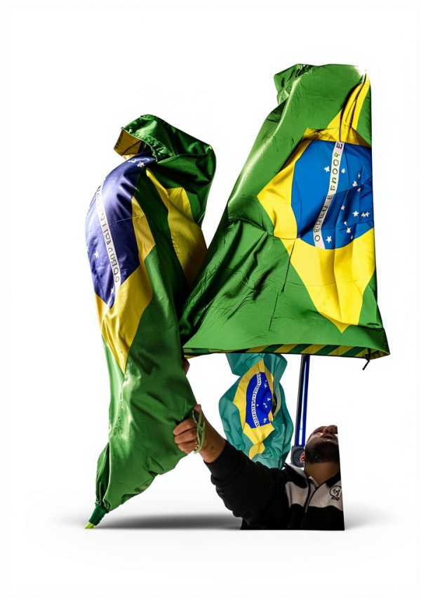 Brazil History Kindle eBook by Haymarket Books – 315 Page Guide-0